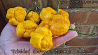 Trinidad Scorpion Moruga Yellow - Pepper Seeds - White Hot Peppers